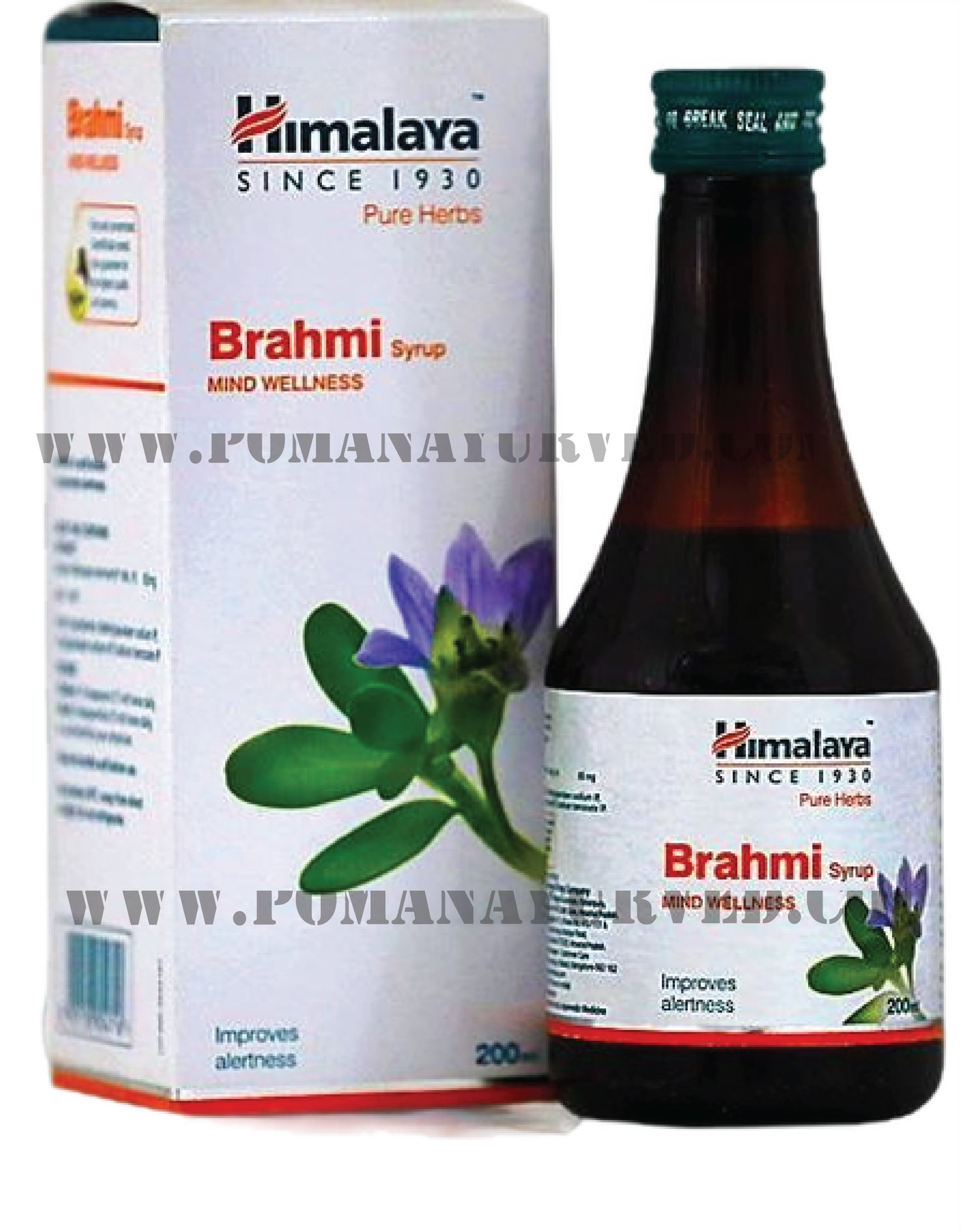 Picture of Brahmi Syrup