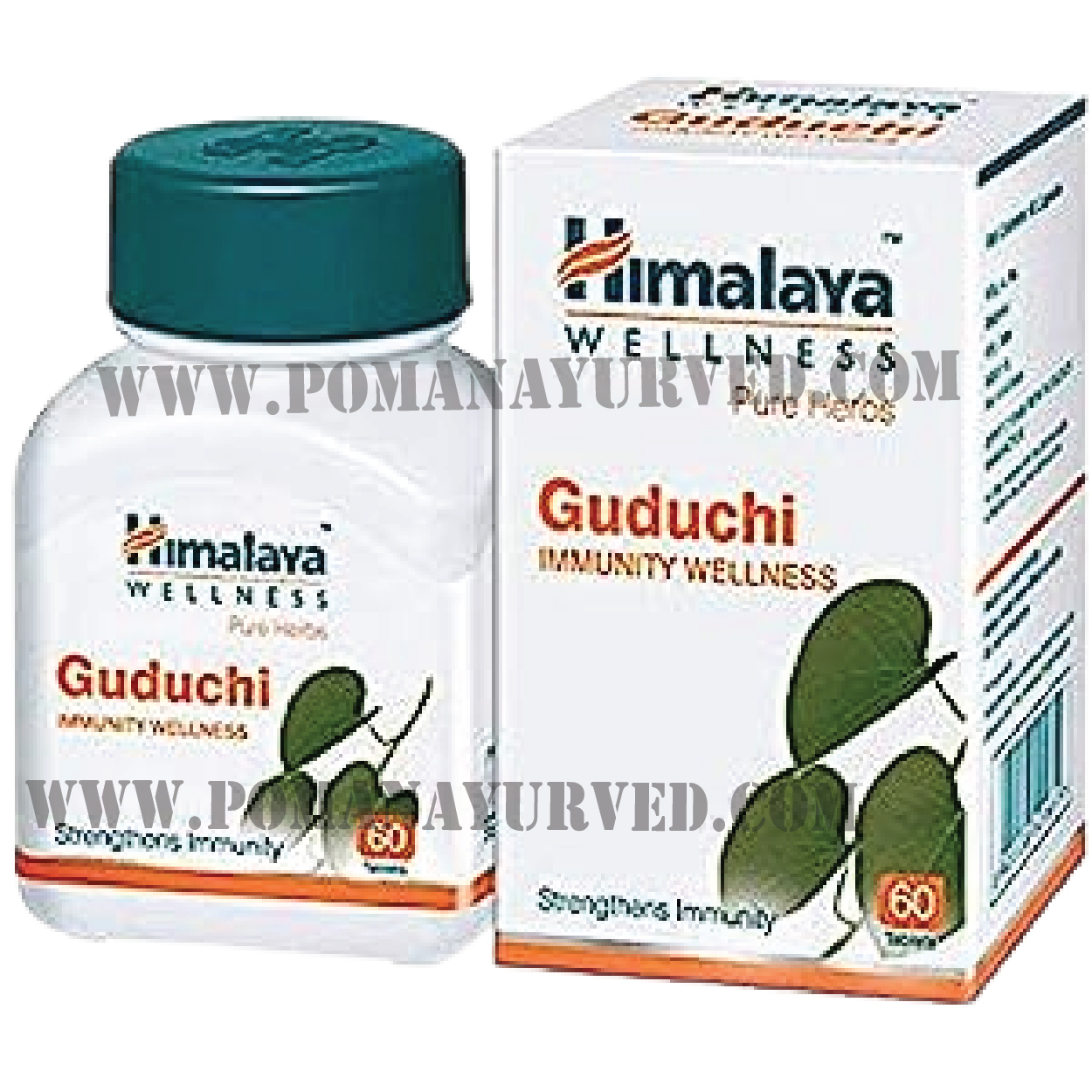 Picture of Guduchi Capsul