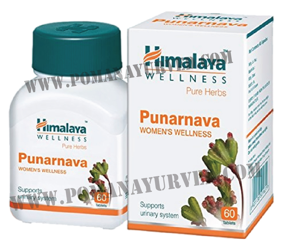 Picture of Punarnava Capsule