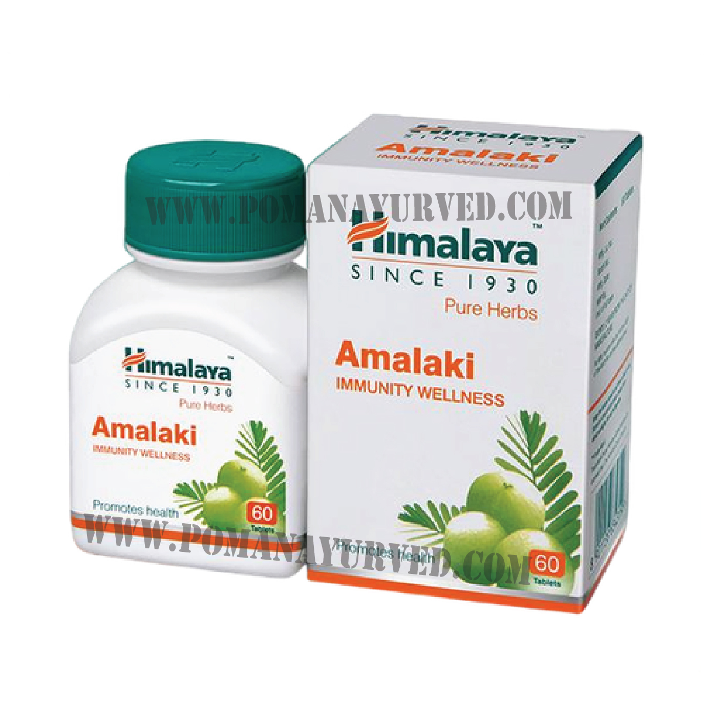 Picture of Amalaki Tablet