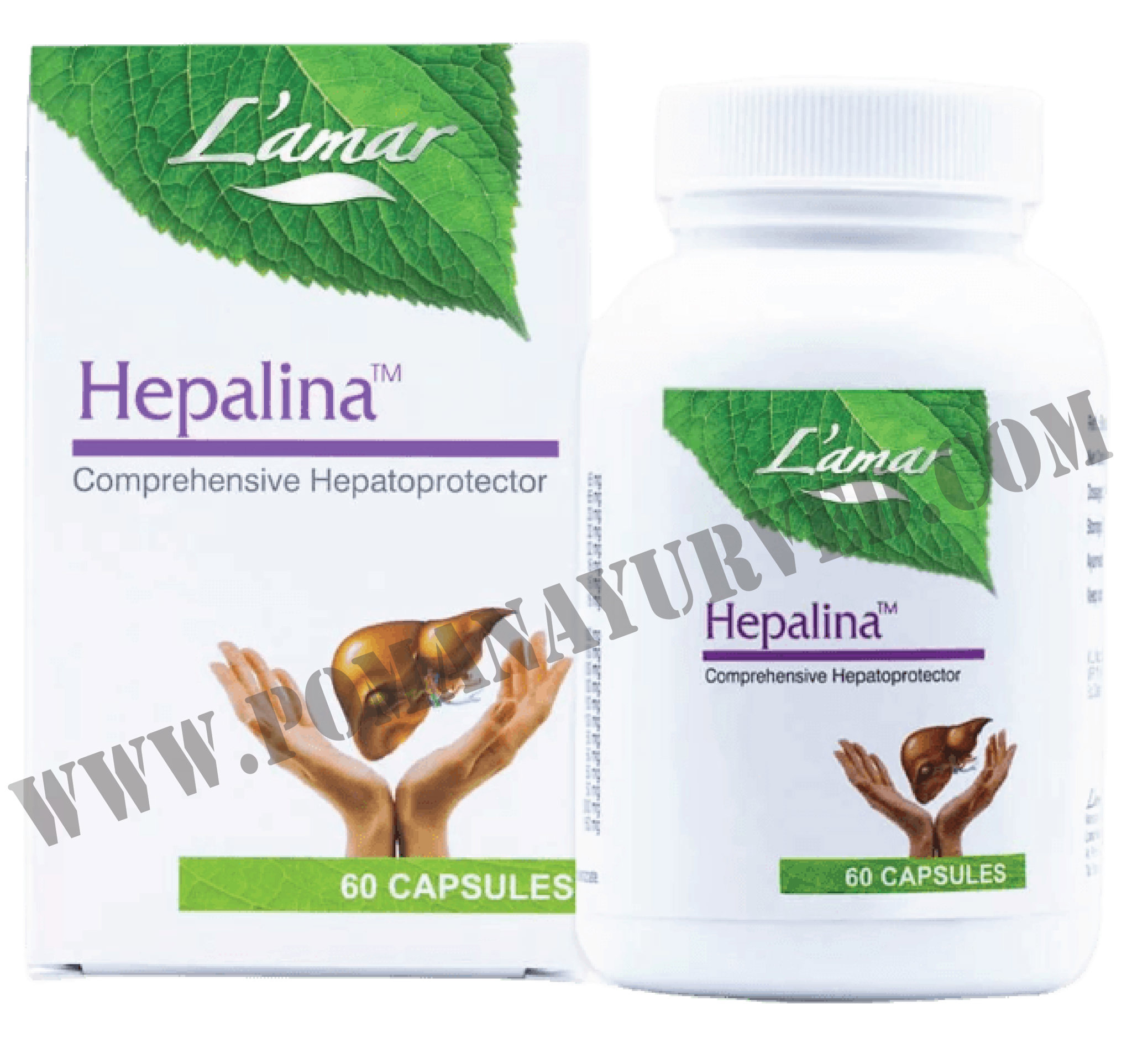 Picture of Hepalina Capsule