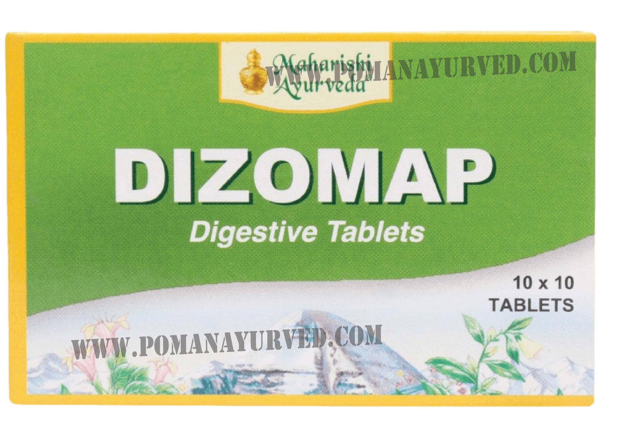 Picture of Dizomap Tab