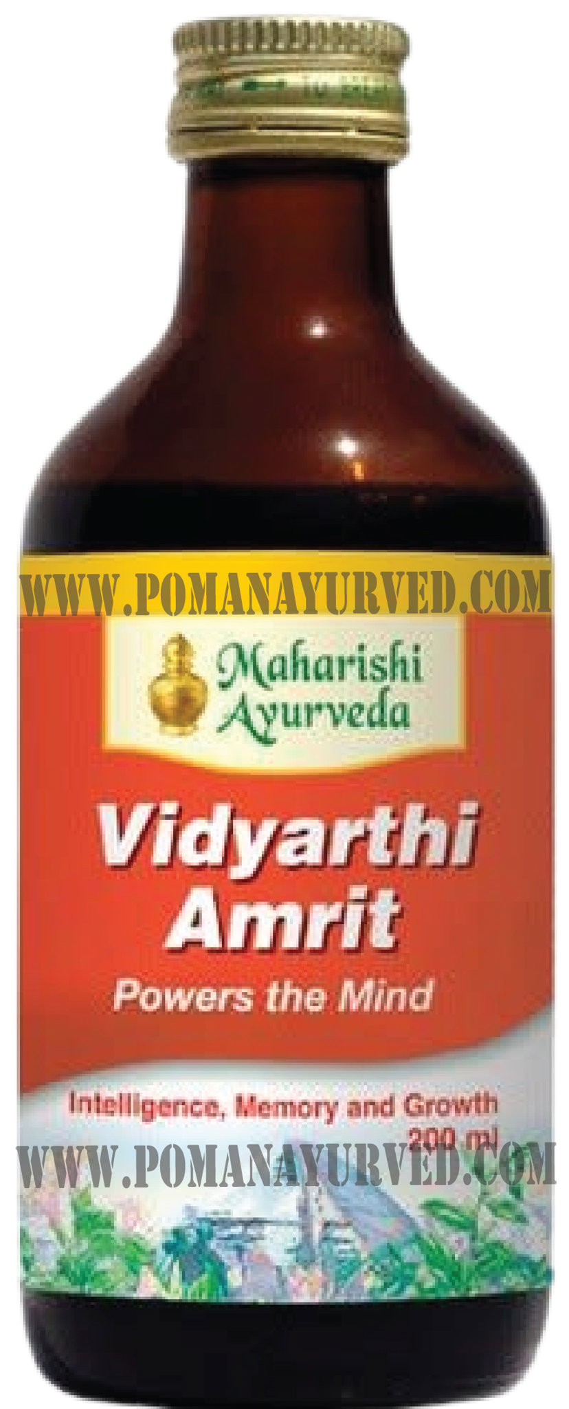 Picture of Vidyarthi Amrit Syrup