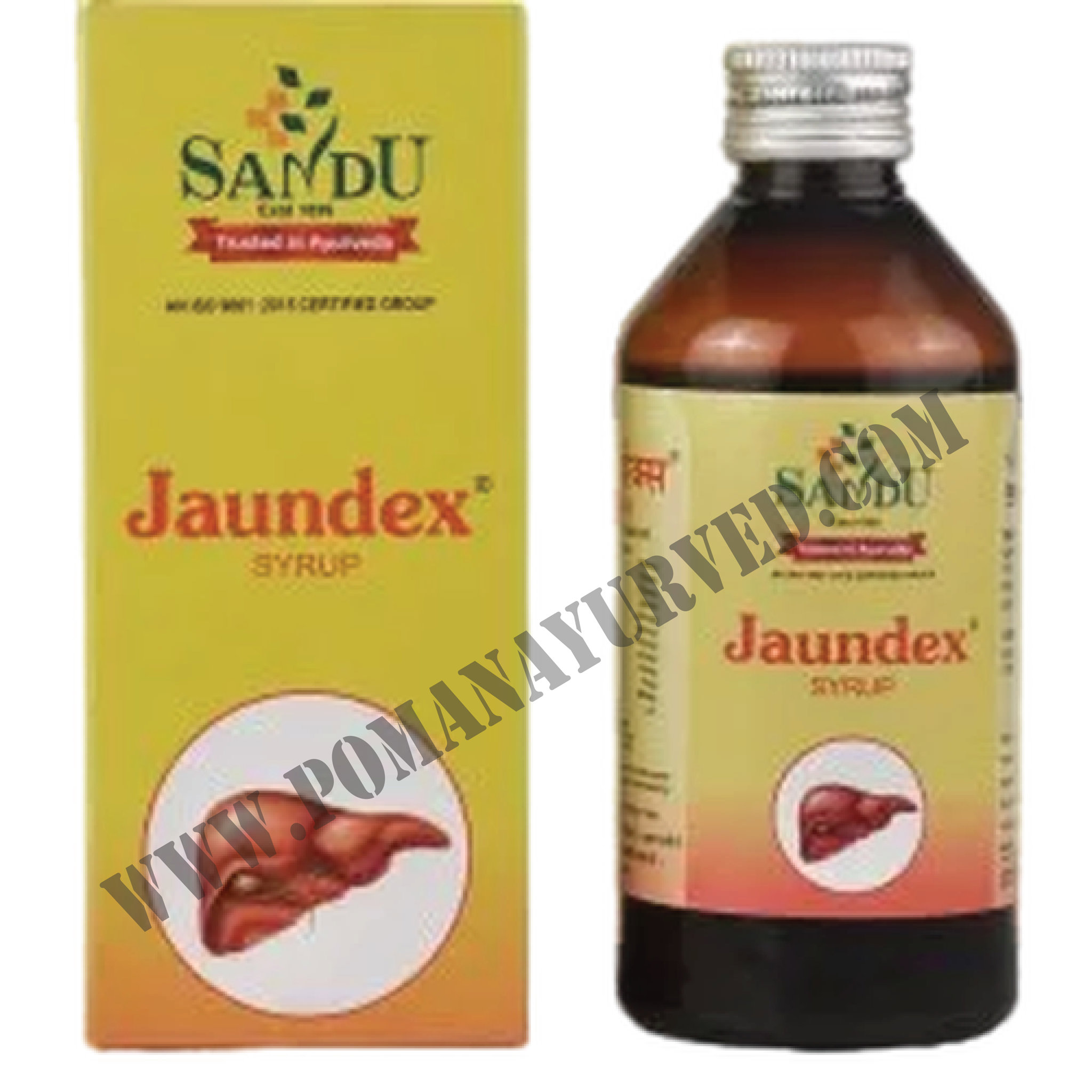 Picture of Jaundex Syrup