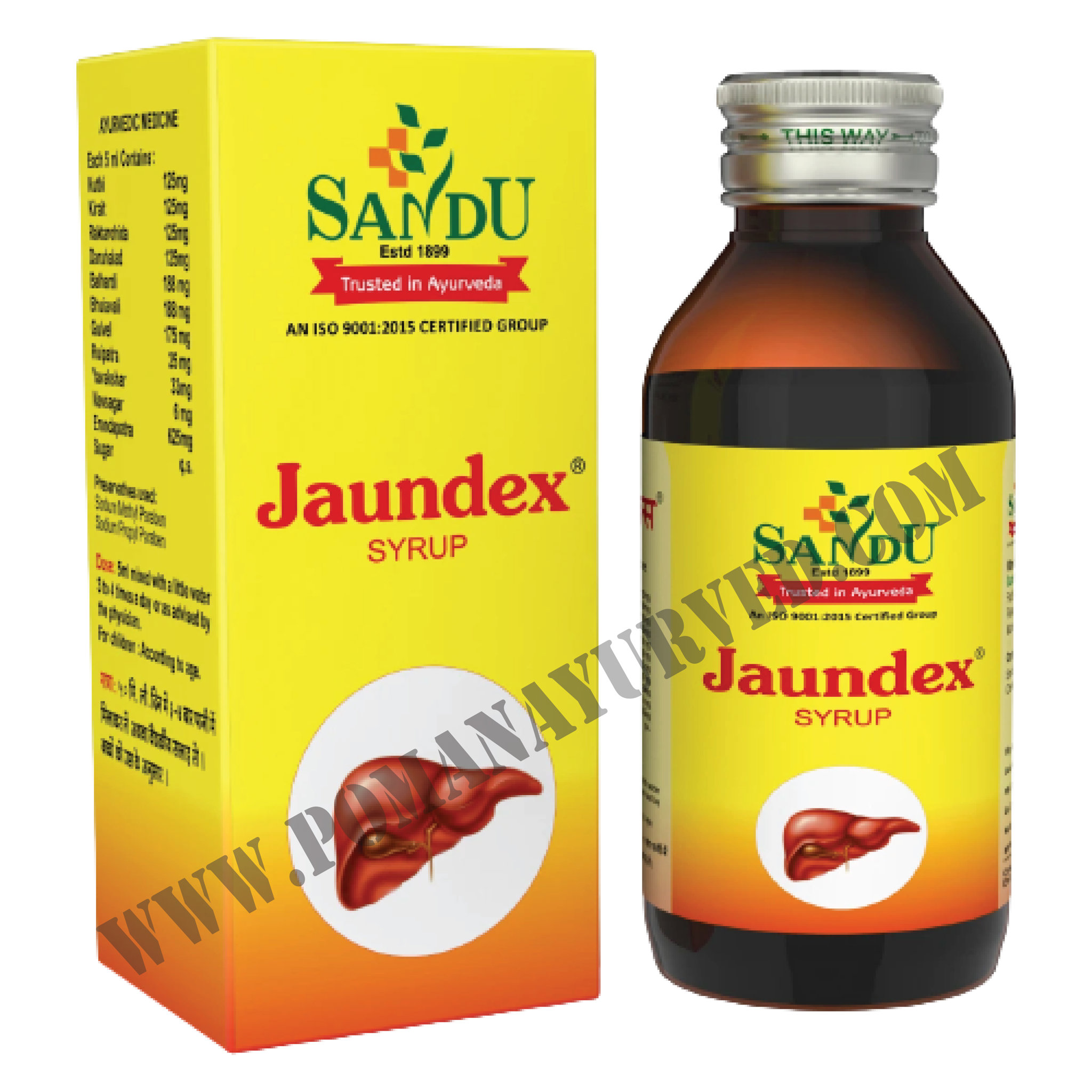 Picture of Jaundex Syrup