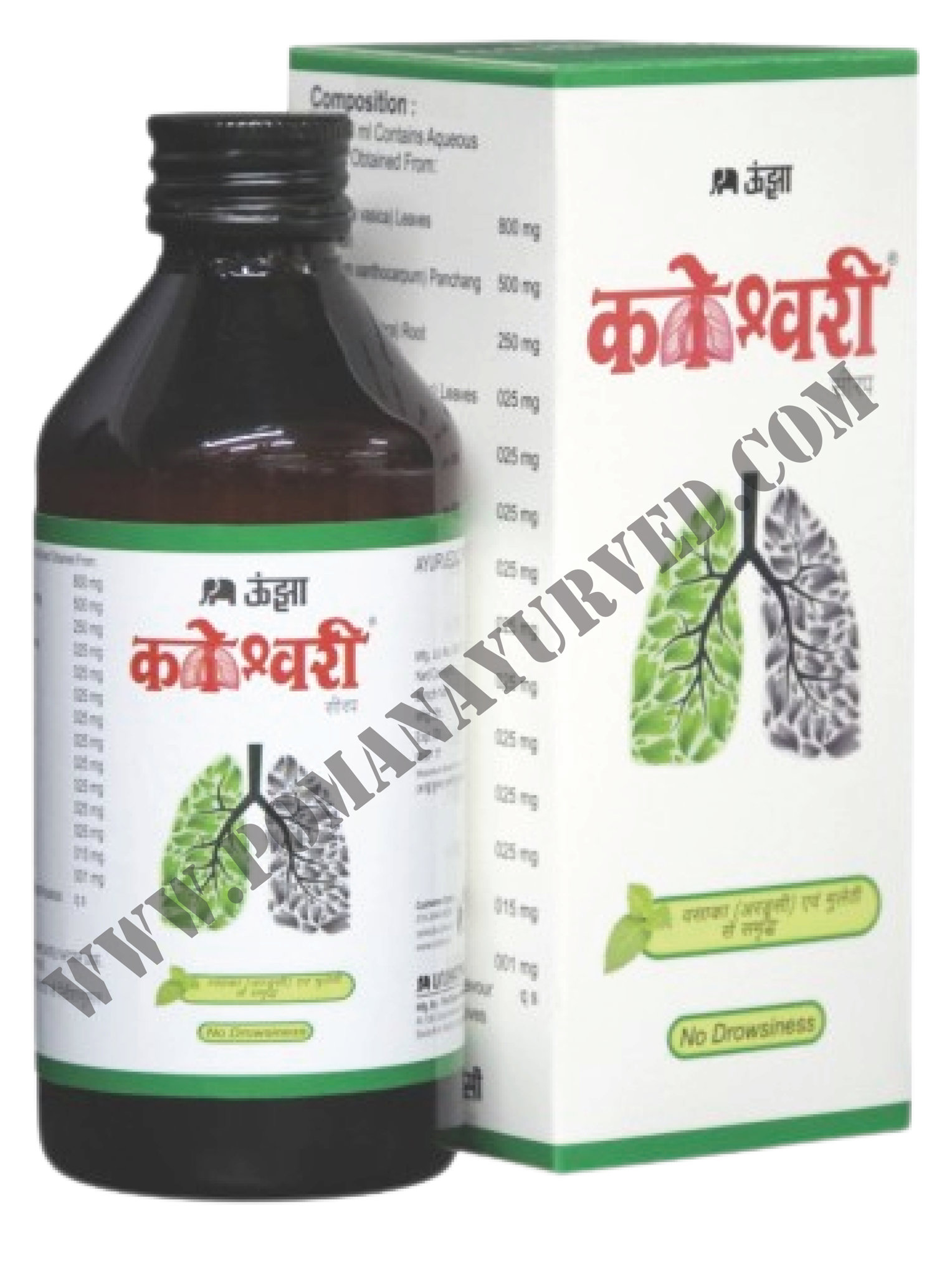 Picture of Cougheshwari Cough Syrup