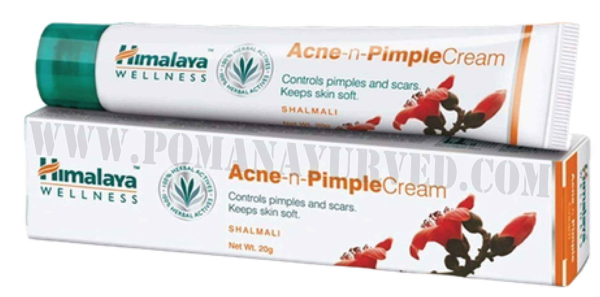 Picture of Acne-N-Pimpal Cream