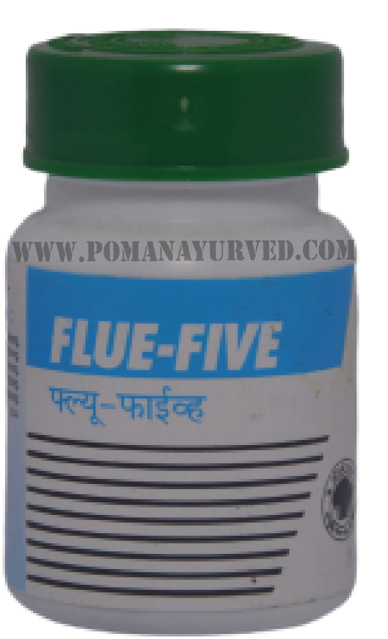 Picture of Flue-Five