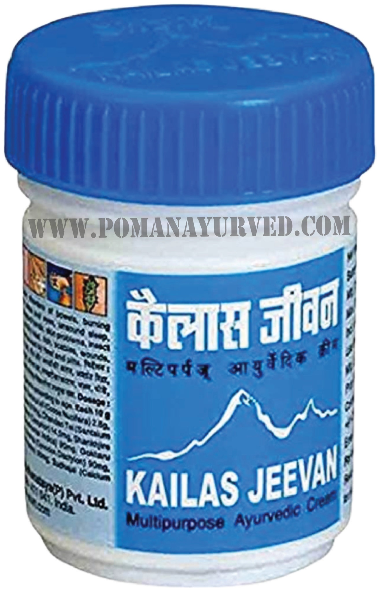 Picture of Kailas Jeevan