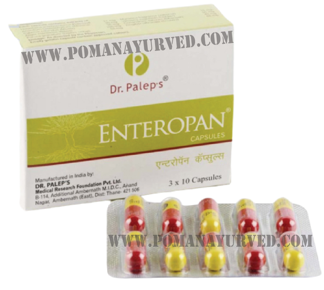 Picture of Enteropan Capsule