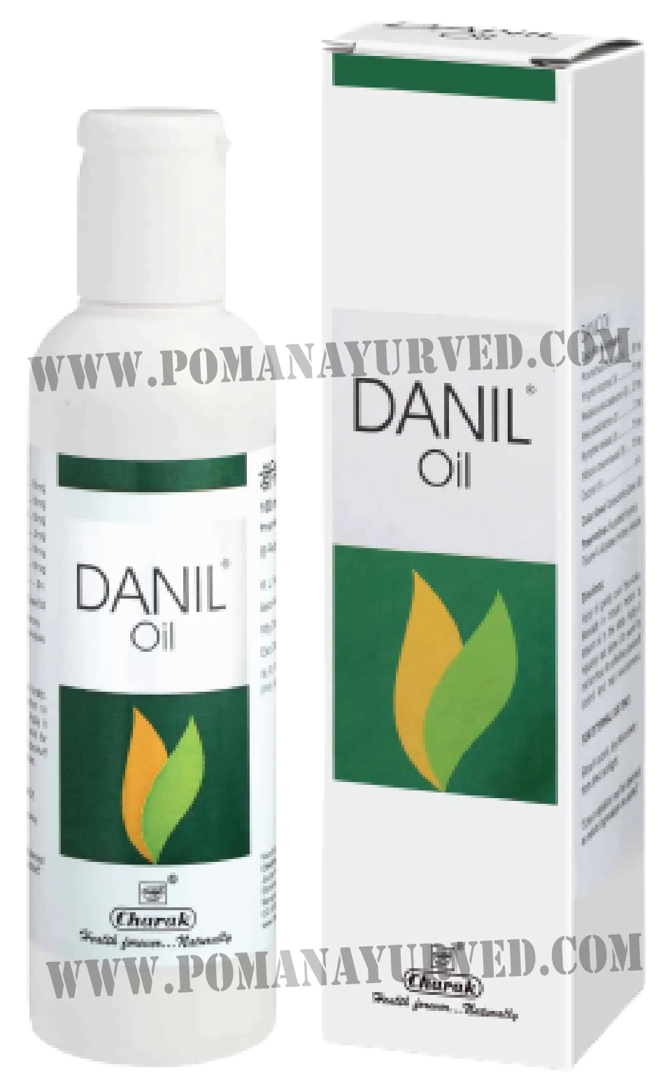 Picture of Danil Oil