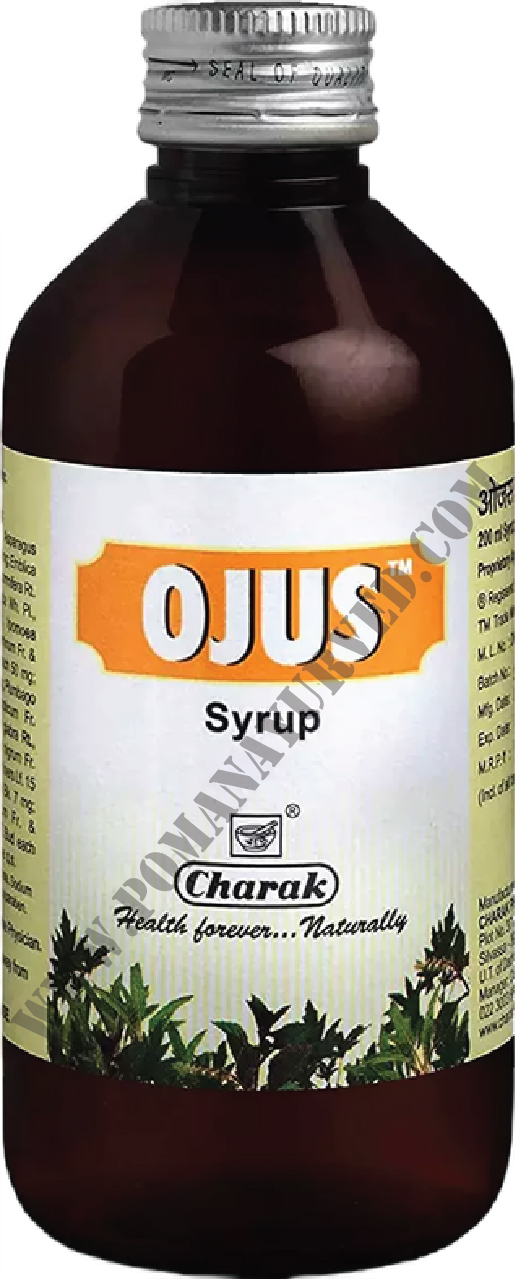 Picture of Ojus Syrup