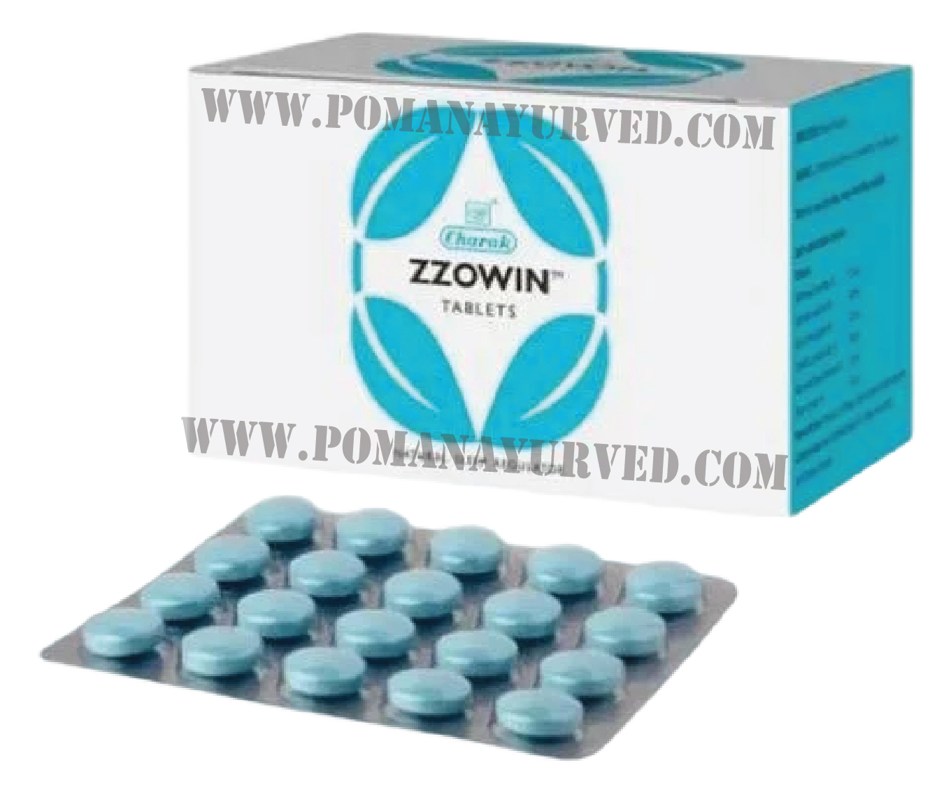 Picture of Zzowin Tablet