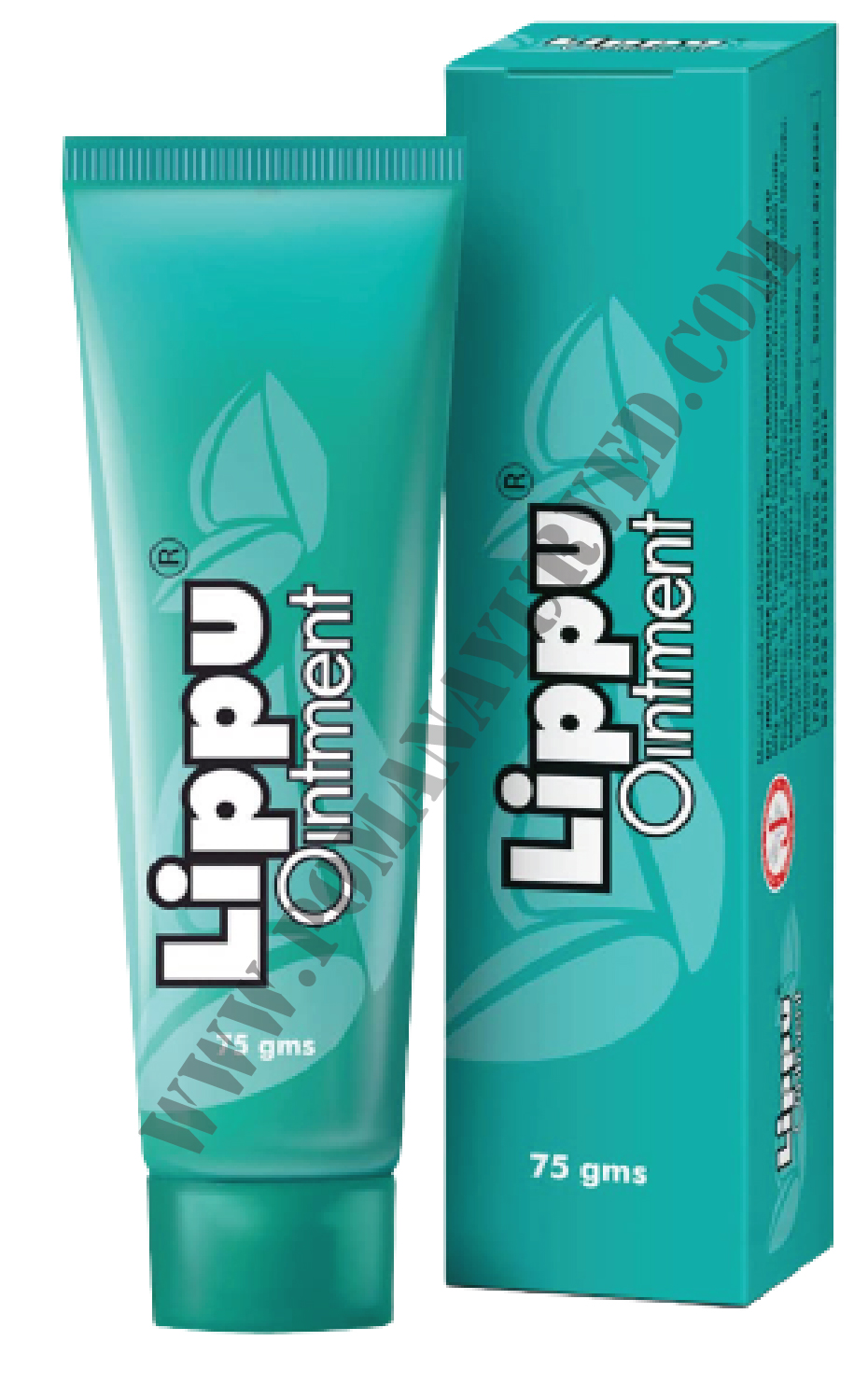 Picture of Lippu Ointment